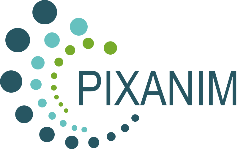 Logo PIXANIM